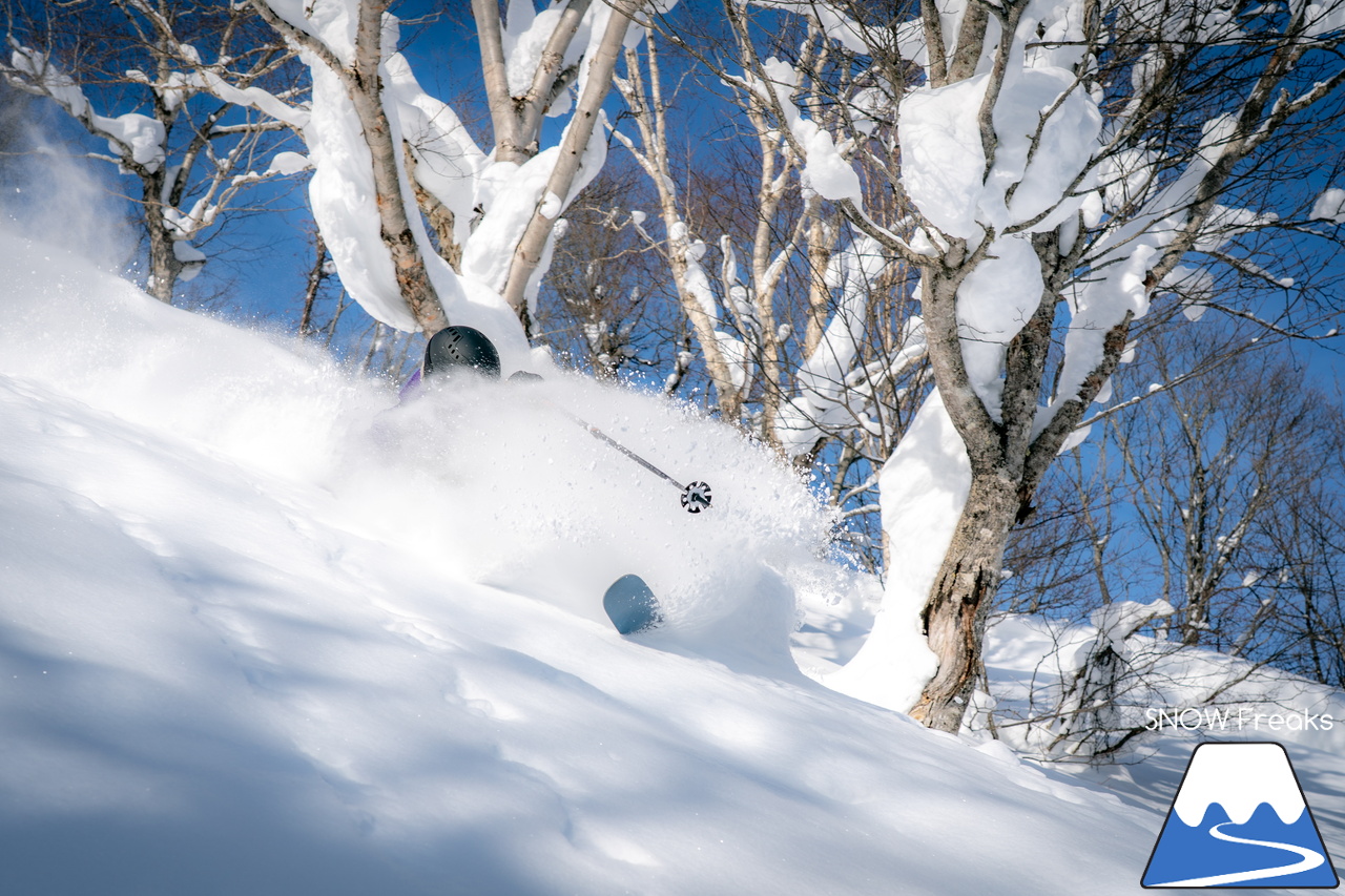 サッポロテイネ｜プロスキーヤー・中西太洋さんが、今季 SNOW Freaks 初登場。コンディション良好なゲレンデ＆パウダーを滑る、そして、撮る！